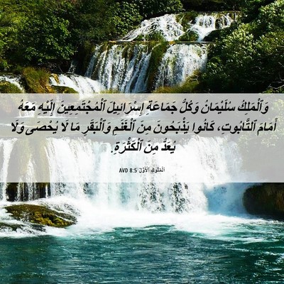 Picture 06 - اَلْمُلُوكِ ٱلْأَوَّلُ 8:5 AVD - وَٱلْمَلِكُ سُلَيْمَانُ - Bible Verse Picture