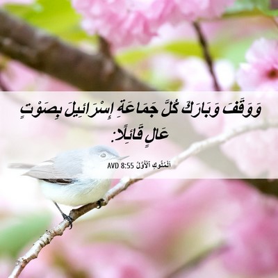 Picture 06 - اَلْمُلُوكِ ٱلْأَوَّلُ 8:55 AVD - وَوَقَفَ وَبَارَكَ كُلَّ - Bible Verse Picture