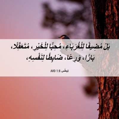 Picture 06 - تِيطُس 1:8 AVD - بَلْ مُضِيفًا - Bible Verse Picture