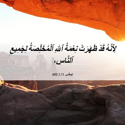 Picture 06 - تِيطُس 2:11 AVD - لِأَنَّهُ قَدْ ظَهَرَتْ - Bible Verse Picture