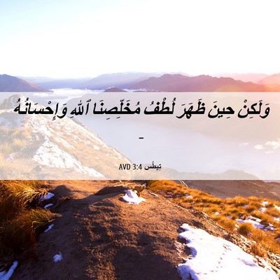 Picture 06 - تِيطُس 3:4 AVD - وَلَكِنْ حِينَ ظَهَرَ - Bible Verse Picture