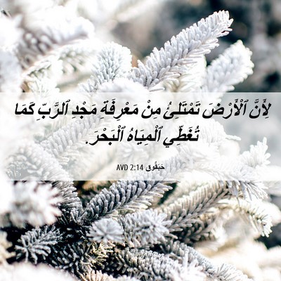 Picture 06 - حَبَقُّوق 2:14 AVD - لِأَنَّ ٱلْأَرْضَ - Bible Verse Picture