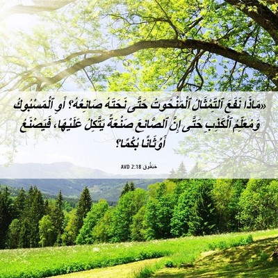 Picture 06 - حَبَقُّوق 2:18 AVD - «مَاذَا نَفَعَ - Bible Verse Picture
