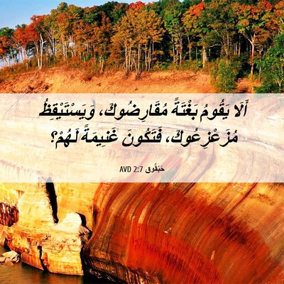 Picture 06 - حَبَقُّوق 2:7 AVD - أَلَا يَقُومُ بَغْتَةً - Bible Verse Picture
