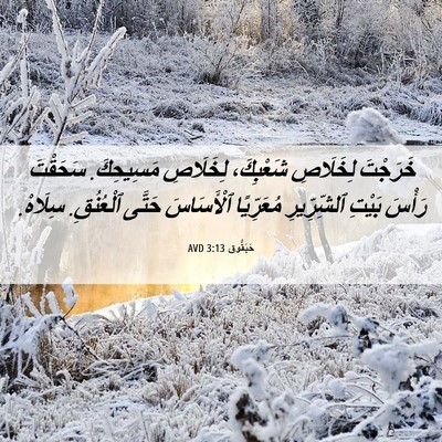 Picture 06 - حَبَقُّوق 3:13 AVD - خَرَجْتَ لِخَلَاصِ - Bible Verse Picture