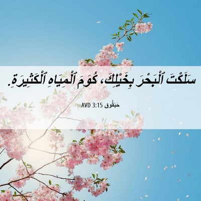 Picture 06 - حَبَقُّوق 3:15 AVD - سَلَكْتَ ٱلْبَحْرَ - Bible Verse Picture