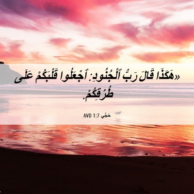 Picture 06 - حَجَّي 1:7 AVD - «هَكَذَا قَالَ رَبُّ - Bible Verse Picture