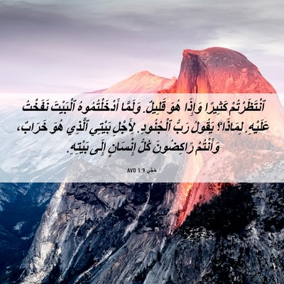 Picture 06 - حَجَّي 1:9 AVD - ٱنْتَظَرْتُمْ كَثِيرًا - Bible Verse Picture