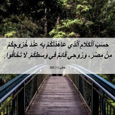 Picture 06 - حَجَّي 2:5 AVD - حَسَبَ ٱلْكَلَامِ ٱلَّذِي - Bible Verse Picture