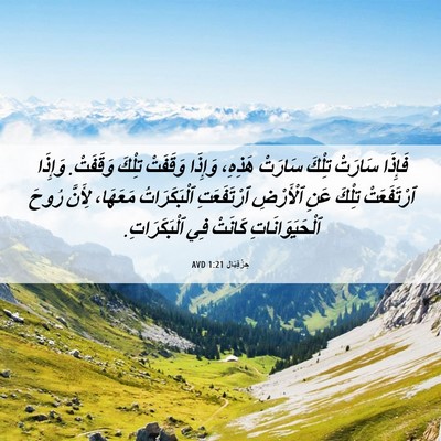 Picture 06 - حِزْقِيَال 1:21 AVD - فَإِذَا سَارَتْ تِلْكَ - Bible Verse Picture