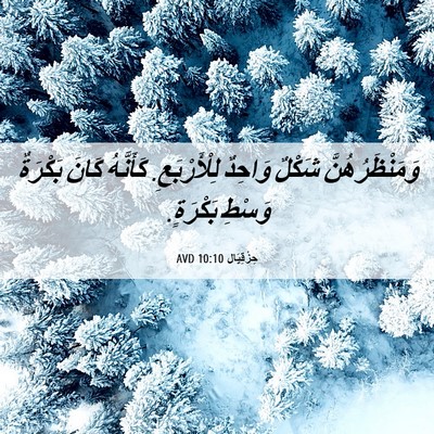 Picture 06 - حِزْقِيَال 10:10 AVD - وَمَنْظَرُهُنَّ شَكْلٌ - Bible Verse Picture