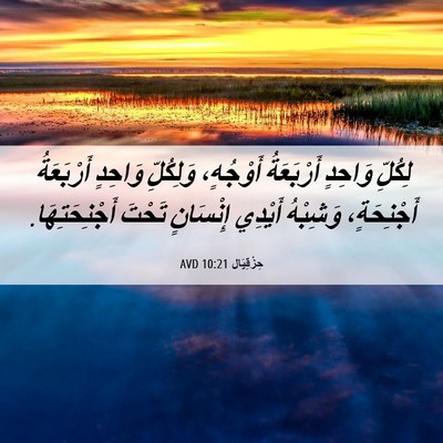 Picture 06 - حِزْقِيَال 10:21 AVD - لِكُلِّ وَاحِدٍ - Bible Verse Picture