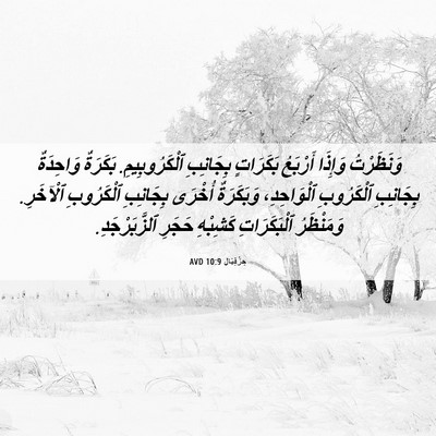 Picture 06 - حِزْقِيَال 10:9 AVD - وَنَظَرْتُ وَإِذَا - Bible Verse Picture