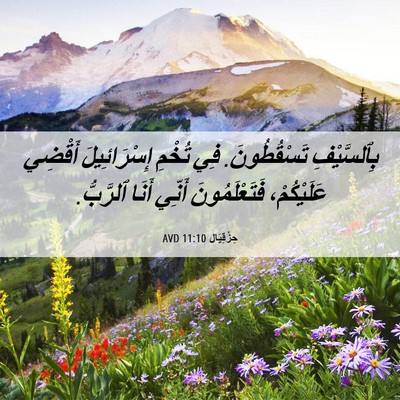 Picture 06 - حِزْقِيَال 11:10 AVD - بِٱلسَّيْفِ تَسْقُطُونَ. - Bible Verse Picture