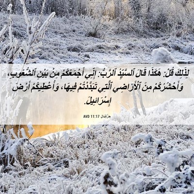 Picture 06 - حِزْقِيَال 11:17 AVD - لِذَلِكَ قُلْ: هَكَذَا - Bible Verse Picture