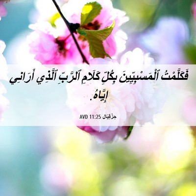 Picture 06 - حِزْقِيَال 11:25 AVD - فَكَلَّمْتُ - Bible Verse Picture