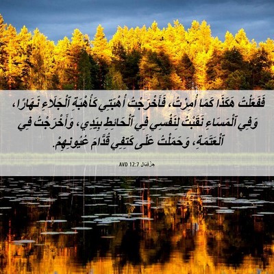 Picture 06 - حِزْقِيَال 12:7 AVD - فَفَعَلْتُ هَكَذَا كَمَا - Bible Verse Picture