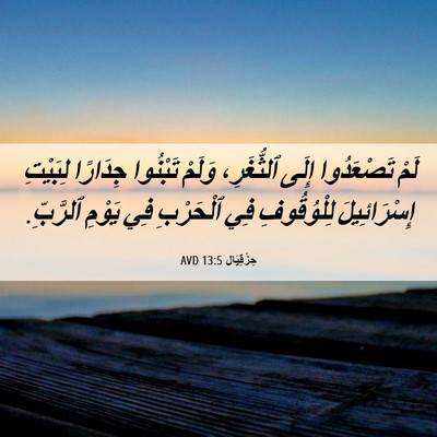 Picture 06 - حِزْقِيَال 13:5 AVD - لَمْ تَصْعَدُوا إِلَى - Bible Verse Picture