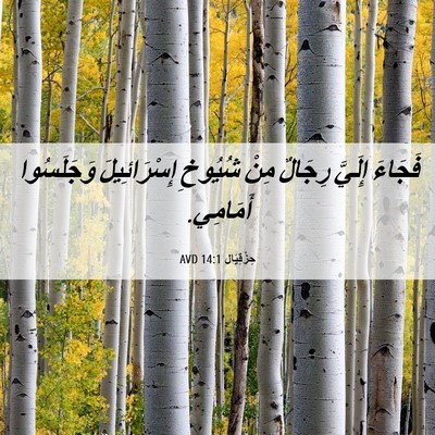 Picture 06 - حِزْقِيَال 14:1 AVD - فَجَاءَ إِلَيَّ رِجَالٌ - Bible Verse Picture