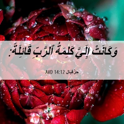 Picture 06 - حِزْقِيَال 14:12 AVD - وَكَانَتْ إِلَيَّ - Bible Verse Picture