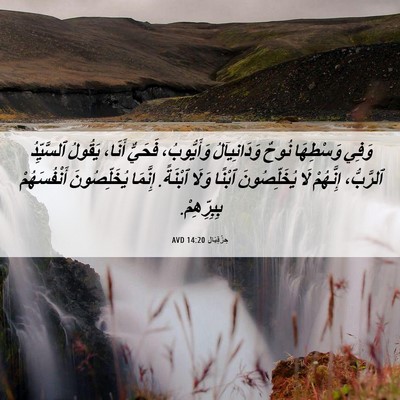Picture 06 - حِزْقِيَال 14:20 AVD - وَفِي وَسْطِهَا نُوحٌ - Bible Verse Picture