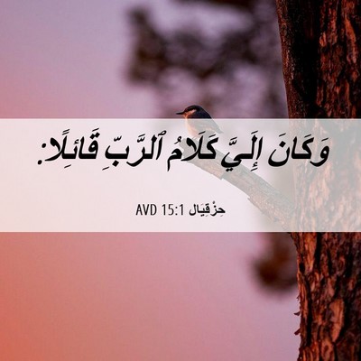 Picture 06 - حِزْقِيَال 15:1 AVD - وَكَانَ إِلَيَّ كَلَامُ - Bible Verse Picture