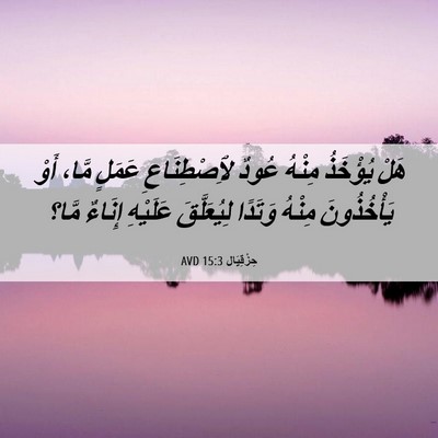 Picture 06 - حِزْقِيَال 15:3 AVD - هَلْ يُؤْخَذُ مِنْهُ عُودٌ - Bible Verse Picture