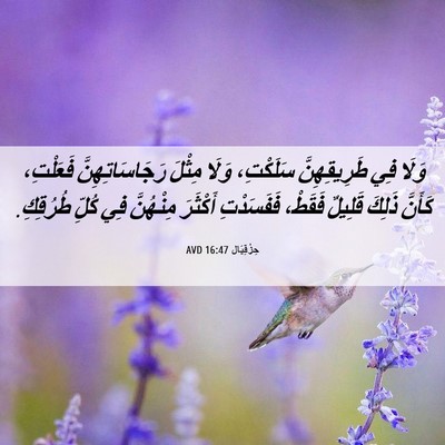 Picture 06 - حِزْقِيَال 16:47 AVD - وَلَا فِي طَرِيقِهِنَّ - Bible Verse Picture