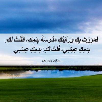 Picture 06 - حِزْقِيَال 16:6 AVD - فَمَرَرْتُ بِكِ - Bible Verse Picture