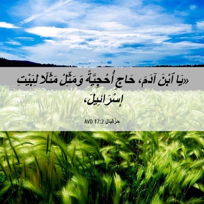 Picture 06 - حِزْقِيَال 17:2 AVD - «يَا ٱبْنَ آدَمَ، حَاجِ - Bible Verse Picture