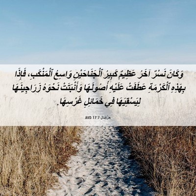 Picture 06 - حِزْقِيَال 17:7 AVD - وَكَانَ نَسْرٌ آخَرُ - Bible Verse Picture