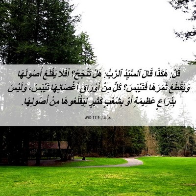 Picture 06 - حِزْقِيَال 17:9 AVD - قُلْ: هَكَذَا قَالَ - Bible Verse Picture