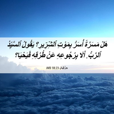 Picture 06 - حِزْقِيَال 18:23 AVD - هَلْ مَسَرَّةً أُسَرُّ - Bible Verse Picture