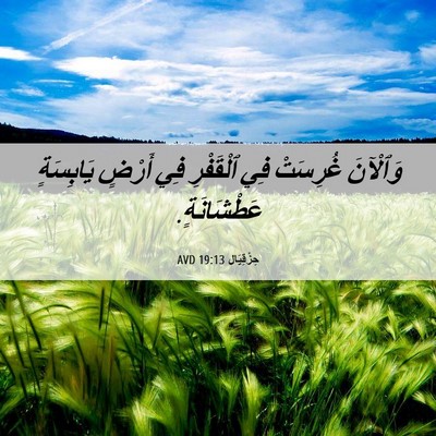 Picture 06 - حِزْقِيَال 19:13 AVD - وَٱلْآنَ غُرِسَتْ فِي - Bible Verse Picture