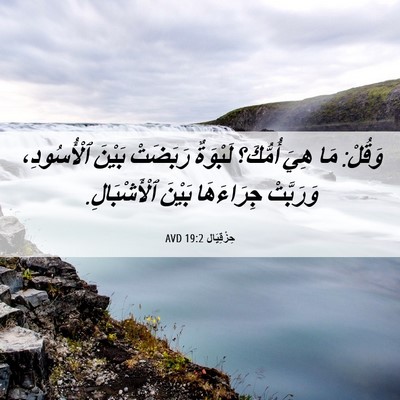 Picture 06 - حِزْقِيَال 19:2 AVD - وَقُلْ: مَا هِيَ أُمُّكَ؟ - Bible Verse Picture