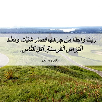 Picture 06 - حِزْقِيَال 19:3 AVD - رَبَّتْ وَاحِدًا مِنْ - Bible Verse Picture