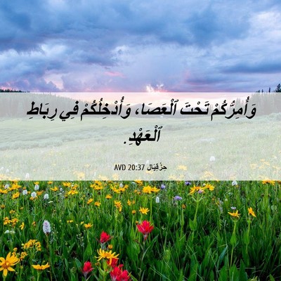 Picture 06 - حِزْقِيَال 20:37 AVD - وَأُمِرُّكُمْ تَحْتَ - Bible Verse Picture
