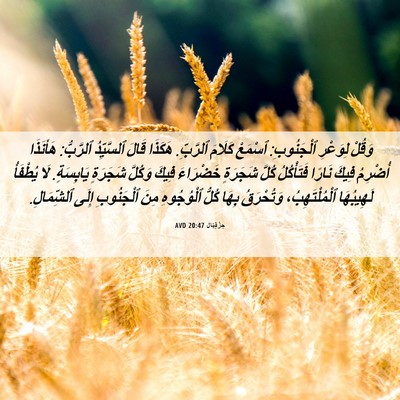 Picture 06 - حِزْقِيَال 20:47 AVD - وَقُلْ لِوَعْرِ - Bible Verse Picture