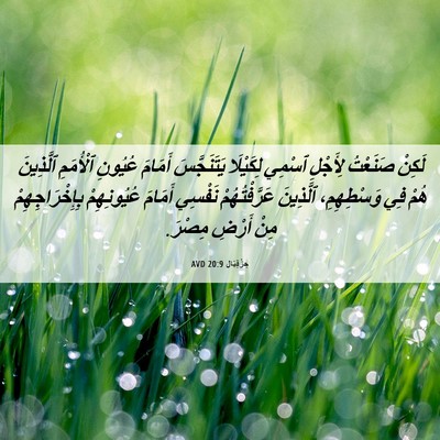 Picture 06 - حِزْقِيَال 20:9 AVD - لَكِنْ صَنَعْتُ لِأَجْلِ - Bible Verse Picture