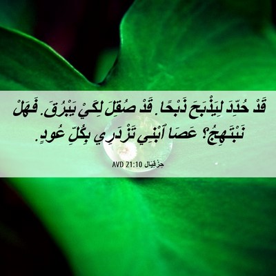 Picture 06 - حِزْقِيَال 21:10 AVD - قَدْ حُدِّدَ لِيَذْبَحَ - Bible Verse Picture