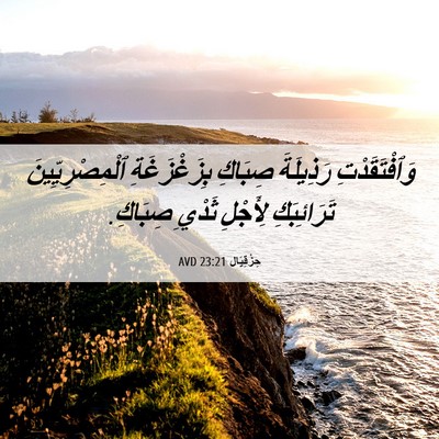 Picture 06 - حِزْقِيَال 23:21 AVD - وَٱفْتَقَدْتِ رَذِيلَةَ - Bible Verse Picture