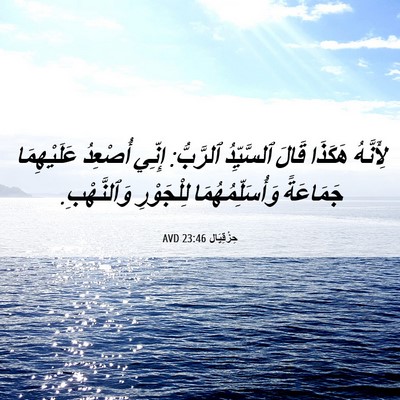 Picture 06 - حِزْقِيَال 23:46 AVD - لِأَنَّهُ هَكَذَا قَالَ - Bible Verse Picture