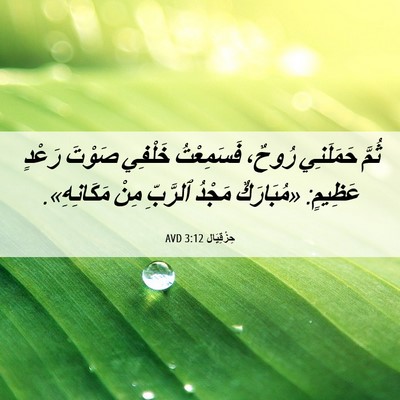 Picture 06 - حِزْقِيَال 3:12 AVD - ثُمَّ حَمَلَنِي رُوحٌ، - Bible Verse Picture