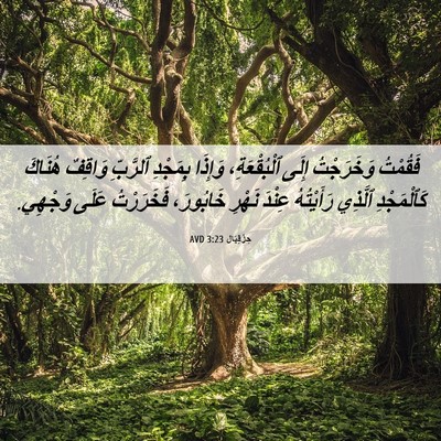 Picture 06 - حِزْقِيَال 3:23 AVD - فَقُمْتُ وَخَرَجْتُ إِلَى - Bible Verse Picture