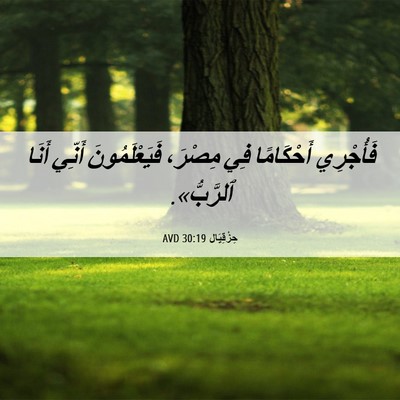 Picture 06 - حِزْقِيَال 30:19 AVD - فَأُجْرِي أَحْكَامًا فِي - Bible Verse Picture