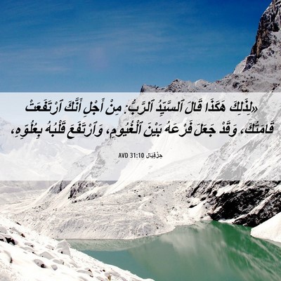 Picture 06 - حِزْقِيَال 31:10 AVD - «لِذَلِكَ هَكَذَا قَالَ - Bible Verse Picture
