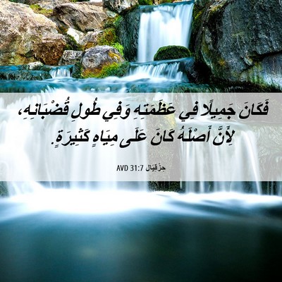 Picture 06 - حِزْقِيَال 31:7 AVD - فَكَانَ جَمِيلًا فِي - Bible Verse Picture