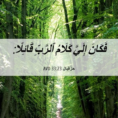 Picture 06 - حِزْقِيَال 33:23 AVD - فَكَانَ إِلَيَّ كَلَامُ - Bible Verse Picture
