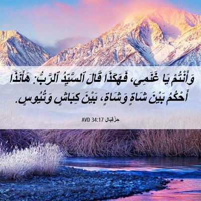 Picture 06 - حِزْقِيَال 34:17 AVD - وَأَنْتُمْ يَا غَنَمِي، - Bible Verse Picture