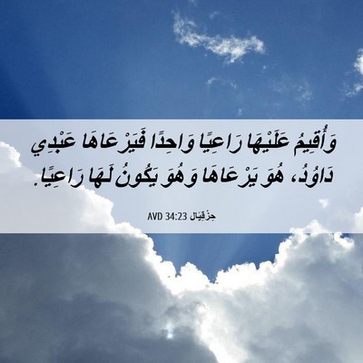 Picture 06 - حِزْقِيَال 34:23 AVD - وَأُقِيمُ عَلَيْهَا - Bible Verse Picture